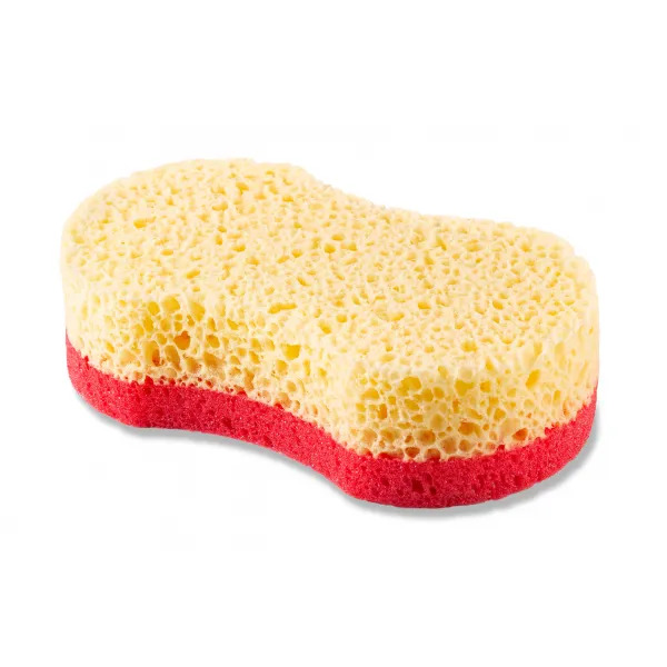 Gąbka